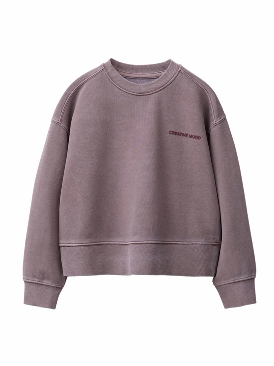 Zara Other - ZARA Plum Washed Effect Text Embossed Cropped Sweatshirt 9-10 Years Girls